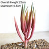 Artificial Succulent Bonsai Plant for Home Decor