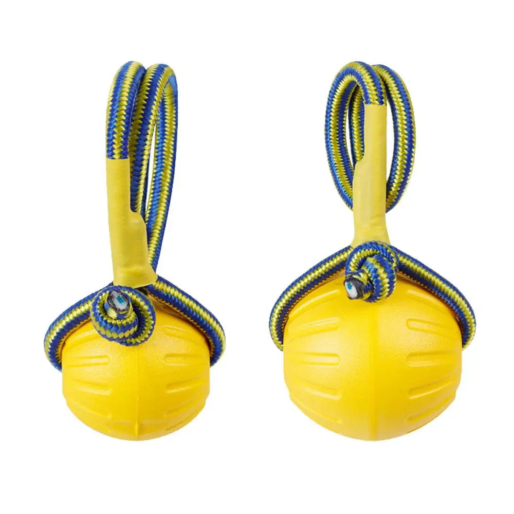 Durable Rubber Fetch Ball for Dogs and Cats