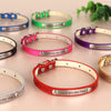 Individuell gravierte Leder-Hundehalsband mit ID-Tag