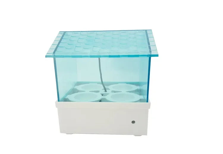 Incubateur digital automatique bleu clair avec couvercle transparent et base blanche.