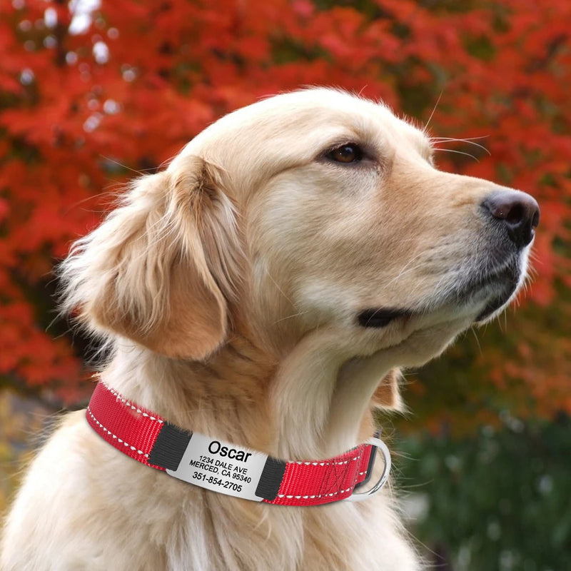 Reflektierendes personalisiertes Hundehalsband mit graviertem Anhänger
