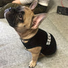 Chaleco de Seguridad para Perros en Verano