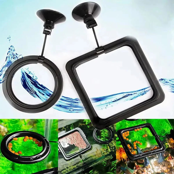 Anillo de alimentación para acuario negro con ventosas, mostrado en varios contextos.