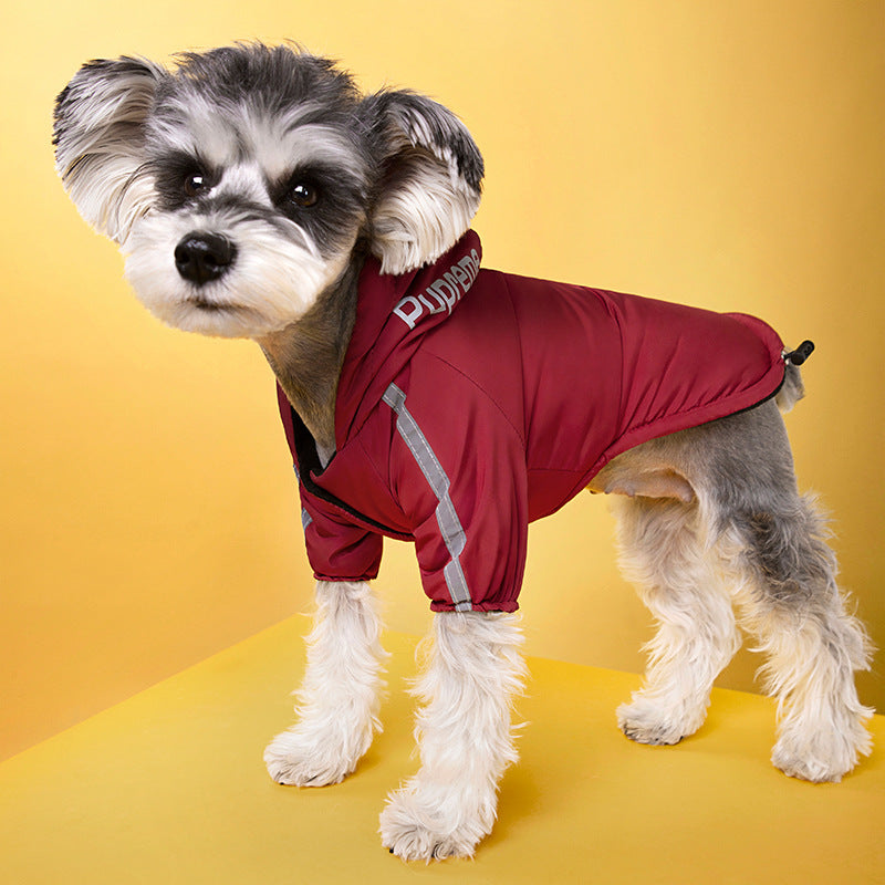 Un petit chien duveteux portant une veste rouge réfléchissante imperméable sur un fond jaune.