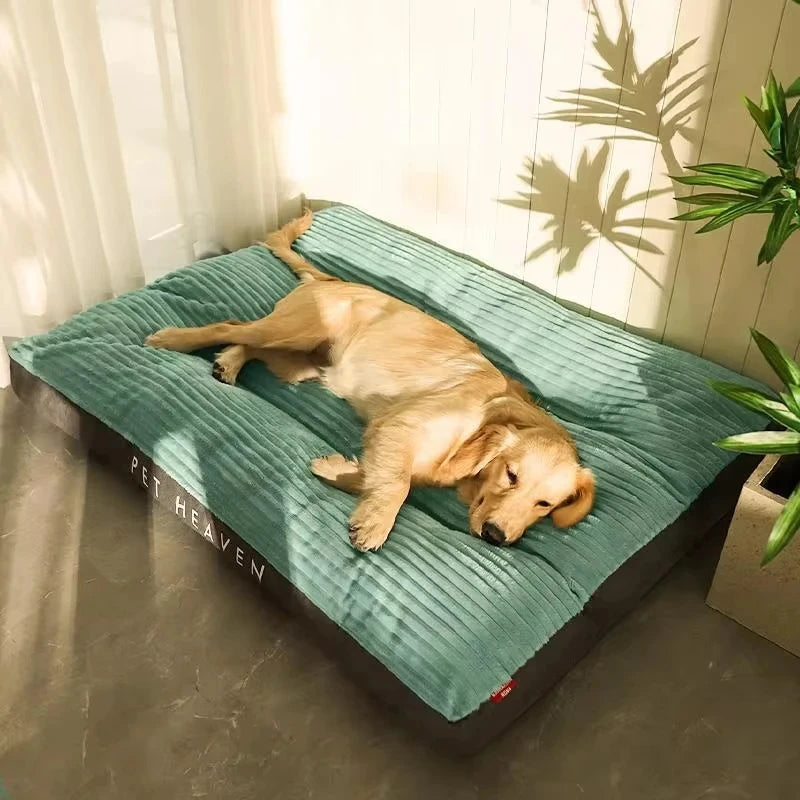 Ein golden Retriever liegt gemütlich auf einem türkisfarbenen Samtpuppybett in einem hellen Raum.
