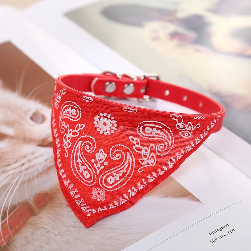Verstellbares PU-Hundehalsband mit passendem Schal