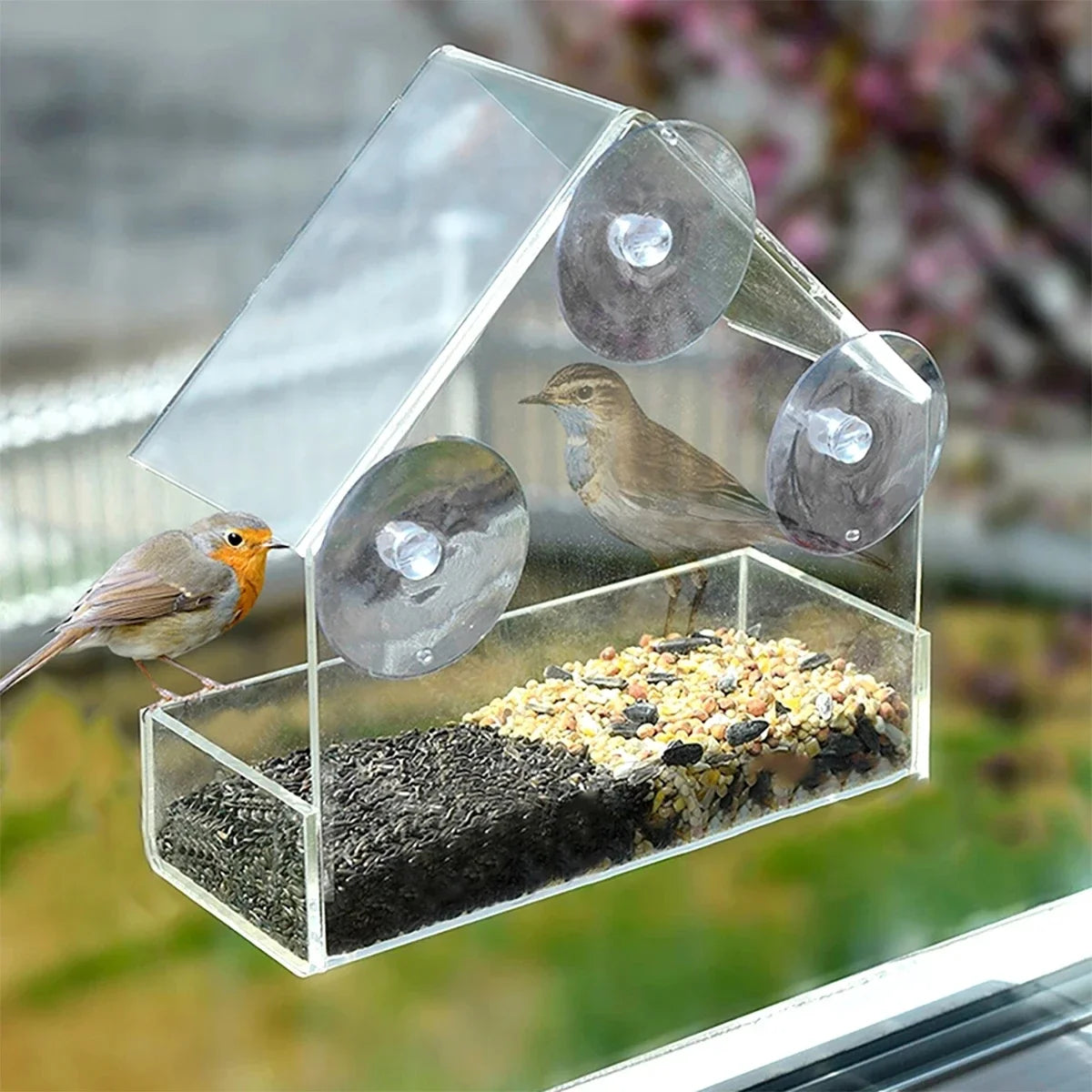 Window Bird Feeder with Suction Cups