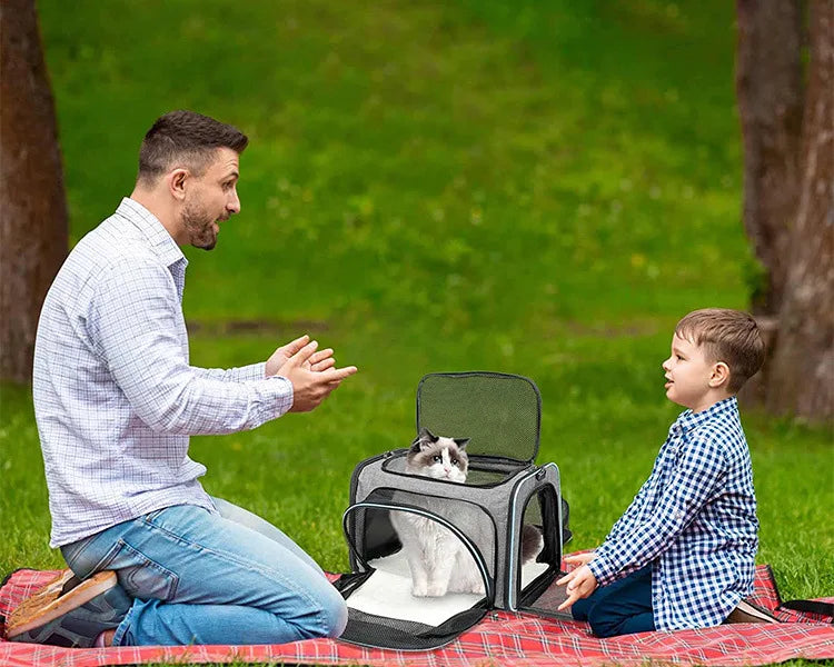 A man and a boy are sitting on a blanket outdoors with a foldable soft-sided pet carrier for small dogs and cats.