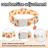 Halloween Pumpkin Print Dog Collar – Breathable & Safe Buckle