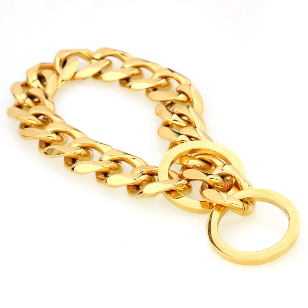 Polished Stainless Steel Slip Chain Dog Collar for Training and Walking