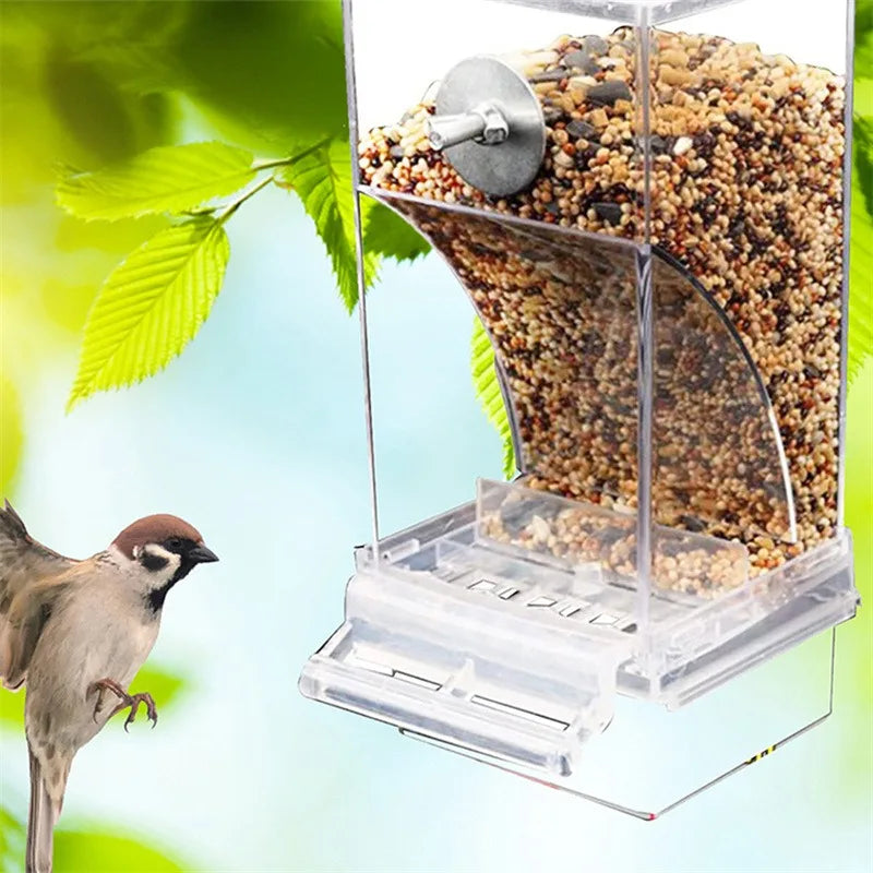 No-Spill Bird Feeder and Water Dispenser for Small to Medium Birds