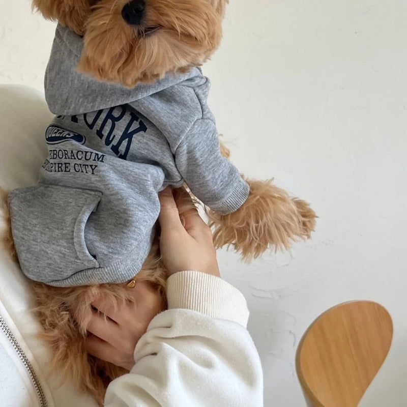 Sudadera de Fleece con Estampado de Oso de Peluche para Perros