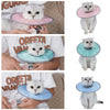 A cat wearing a pink veterinary recovery collar is shown in various contexts.