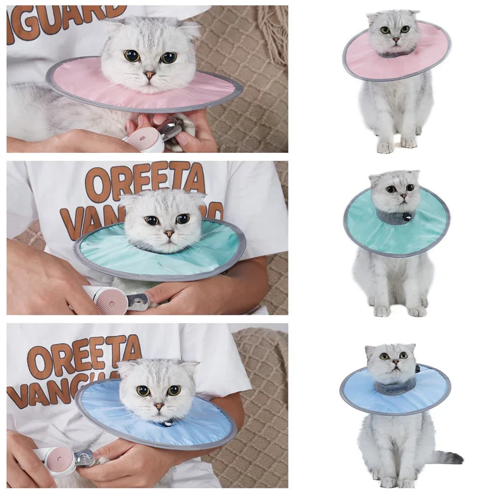 A cat wearing a pink veterinary recovery collar is shown in various contexts.