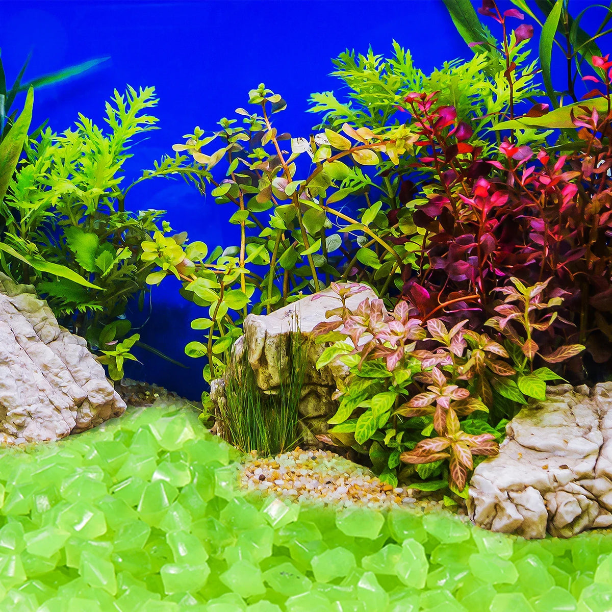Glow-in-the-Dark Decorative Resin Pebbles arranged in a vibrant aquatic landscape.