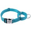 A turquoise reflective martingale dog collar with an engraved metal buckle.