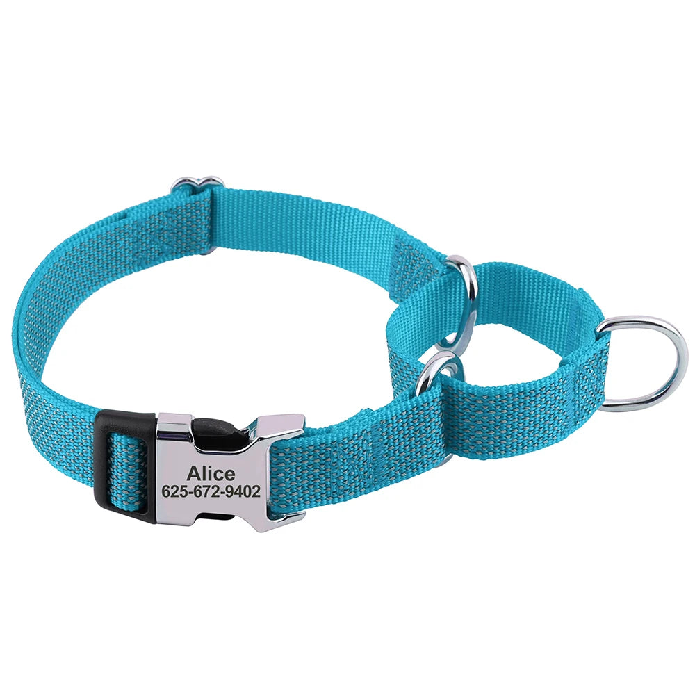 A turquoise reflective martingale dog collar with an engraved metal buckle.