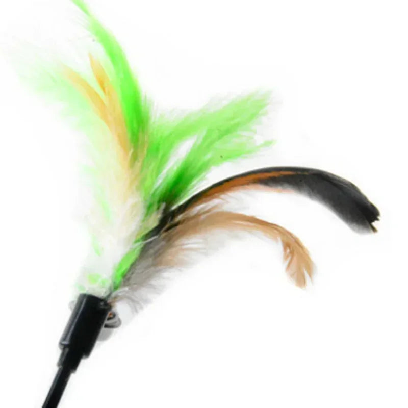 Interactive feather wand cat toy featuring green and brown feathers with a black handle