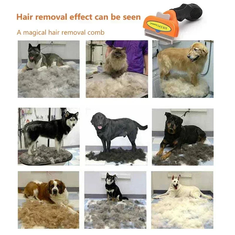 Haarpflege-Kamm für Katzen und Hunde