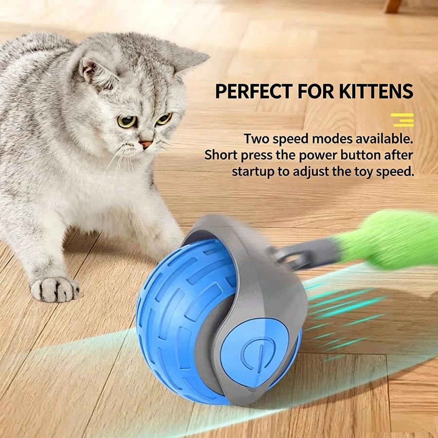 A gray kitten plays with a blue and gray interactive rolling toy, demonstrating two speed modes.