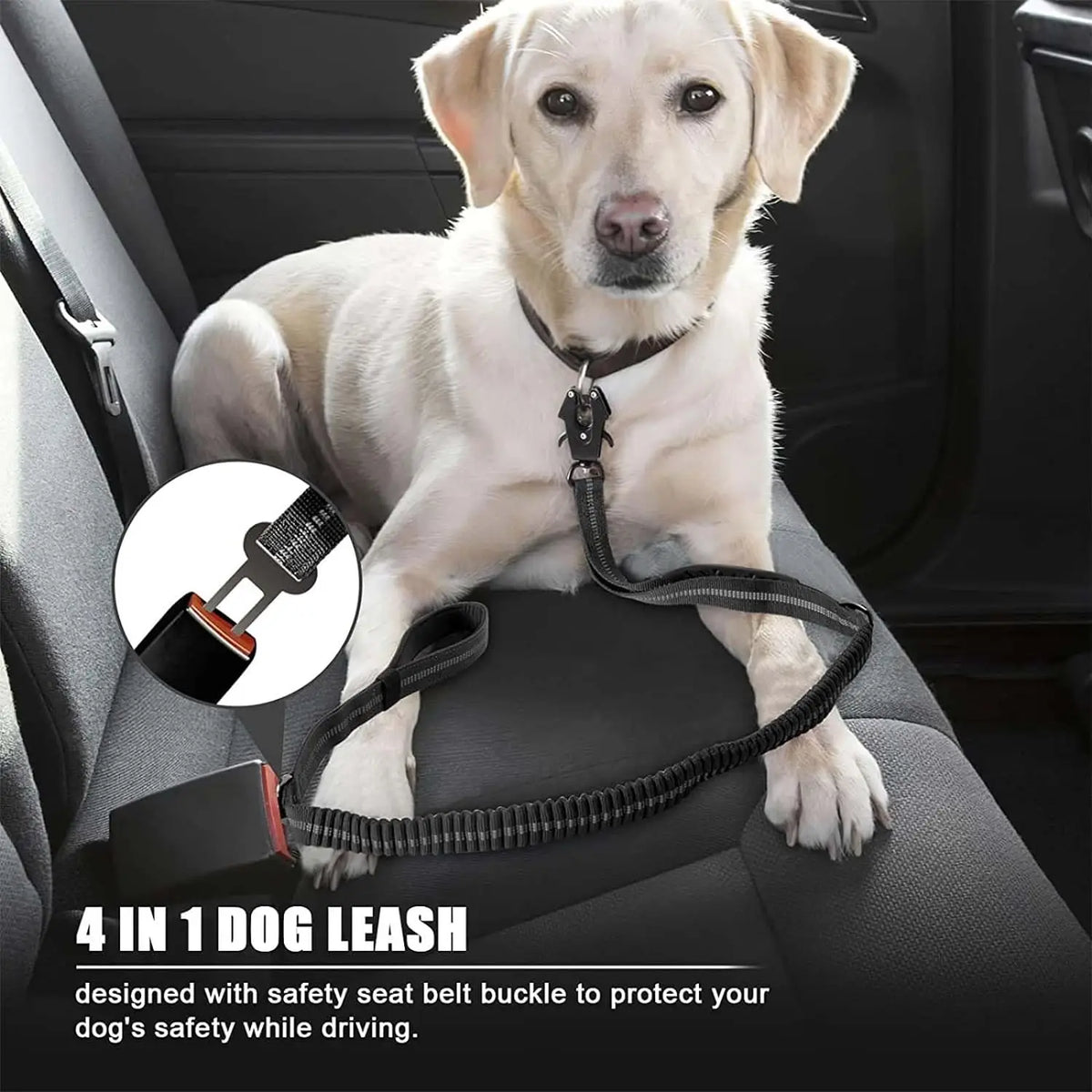 Un perro de color claro lleva una correa negra con hebilla de cinturón de seguridad, diseñada para uso en coche.