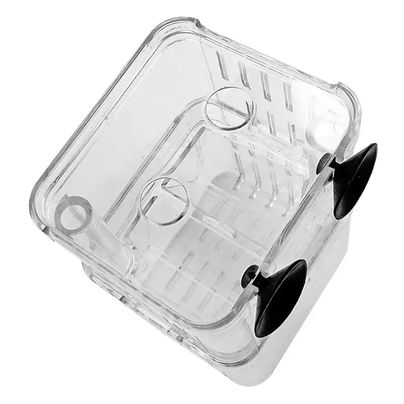 Acrylic Fish Breeding Isolation Box with Double Compartments