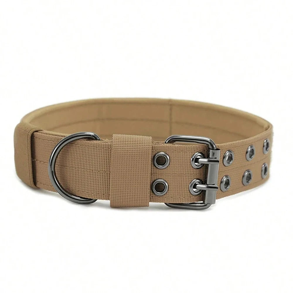 Heavy-Duty Nylon Dog Collar with Padded Lining and Metal Buckle