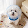 Breathable Star Tulle Dog Muzzle Cover for Outdoor Walks