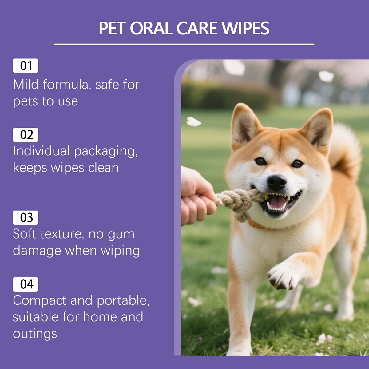 Pet Dental Care Wipes for Dogs and Cats