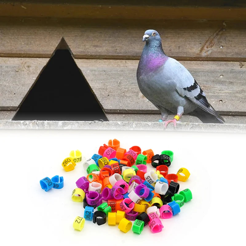 Bagues en plastique numérotées pour pattes d'oiseaux (9 mm)