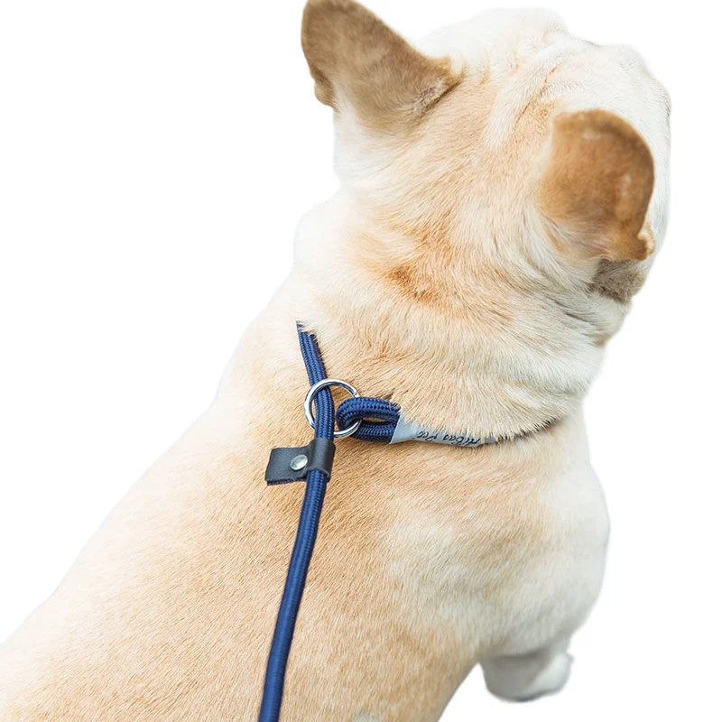 Robbe, verstellbare Nylon-Hundeleine
