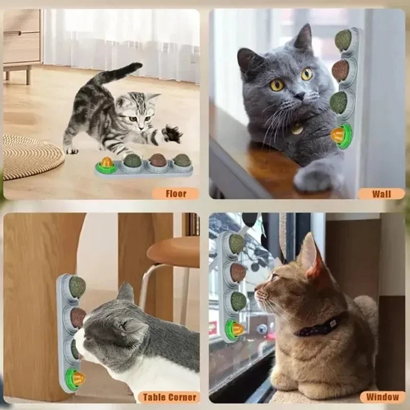 A rotating catnip ball toy is shown in various contexts: on the floor, on a wall, and near a window.