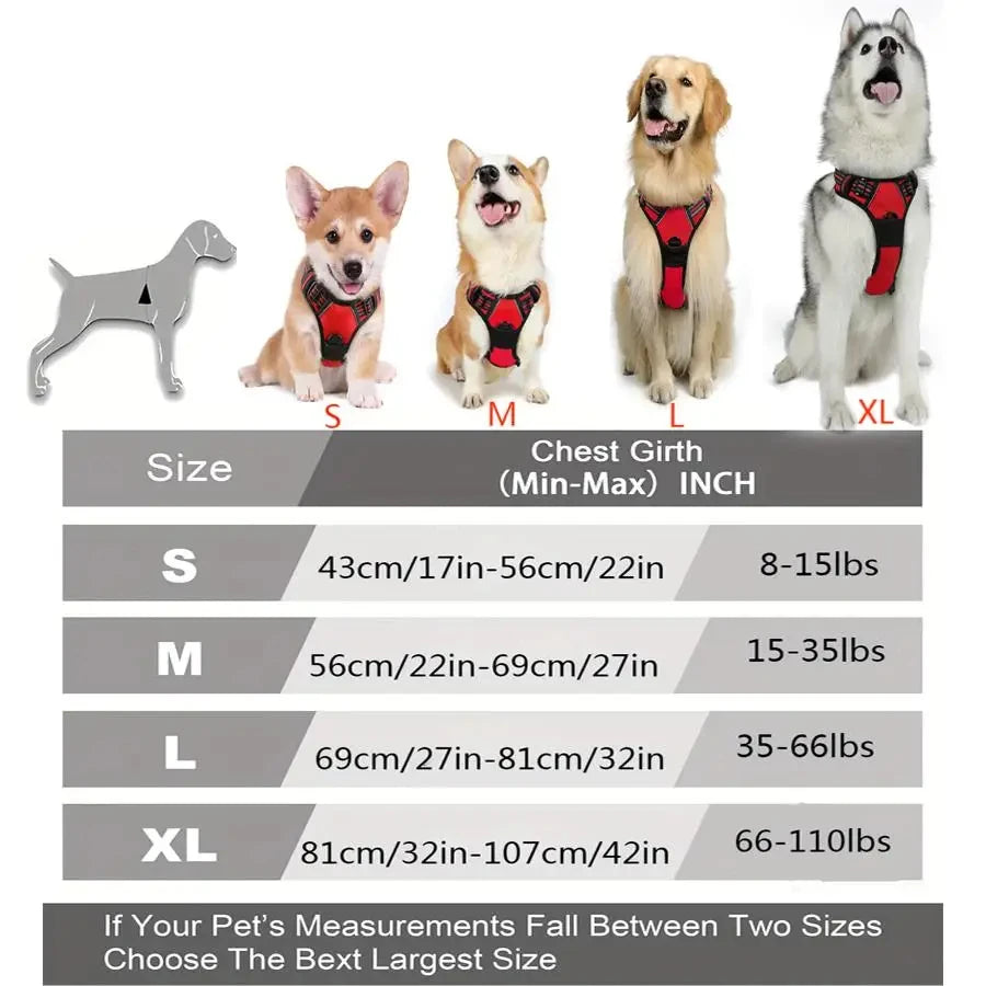 Ein Set an Hundeschlaufen in Größen S, M, L und XL neben einer Größentabelle.