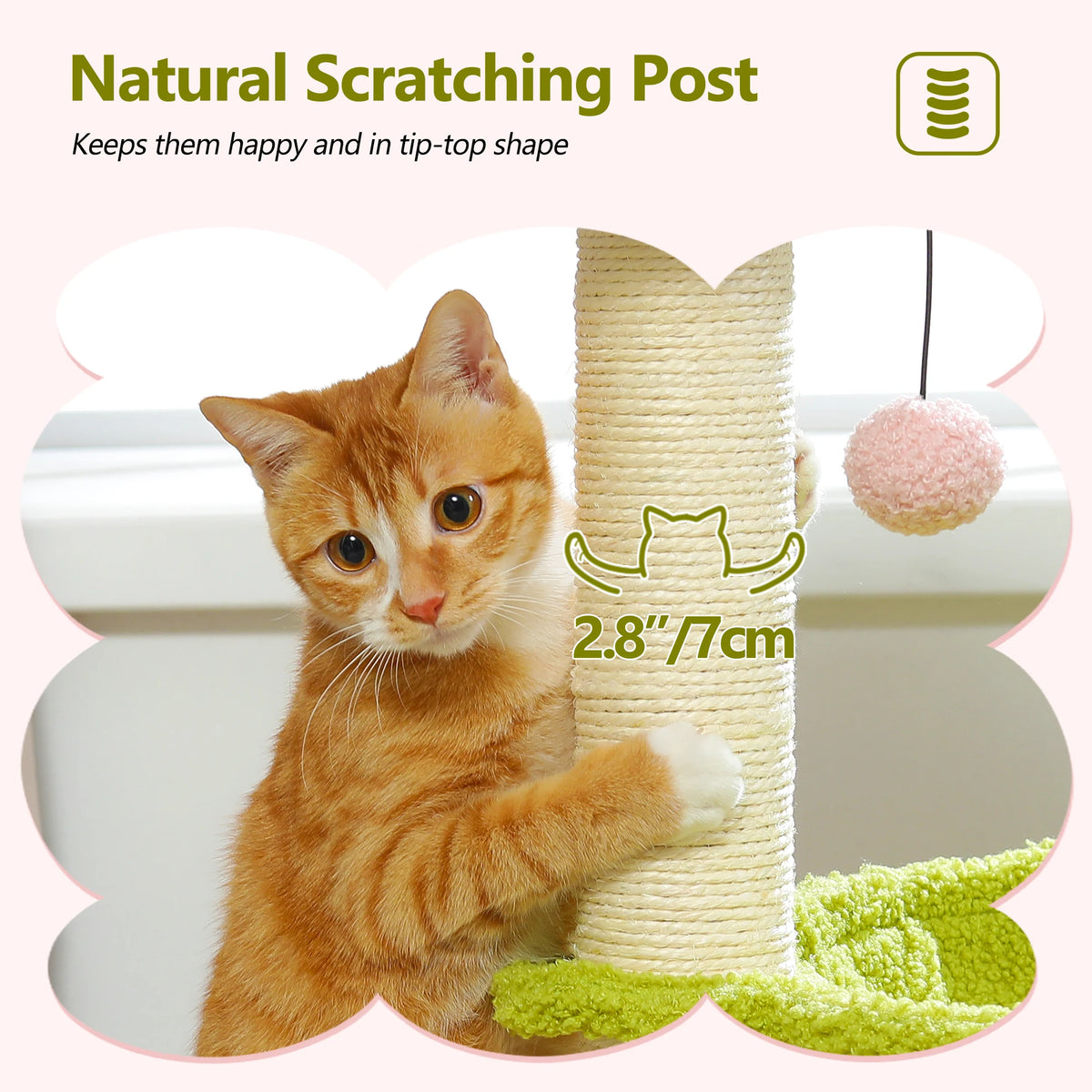 An orange kitten is sitting next to a natural scratching post, hammock, and cozy top perch for climbing and scratching.