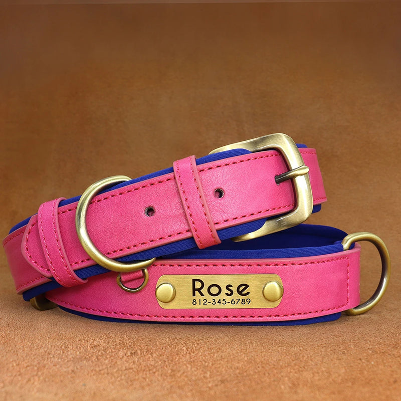 Personalisierte gepolsterte Leder-Hundehalsband mit graviertem Namensschild