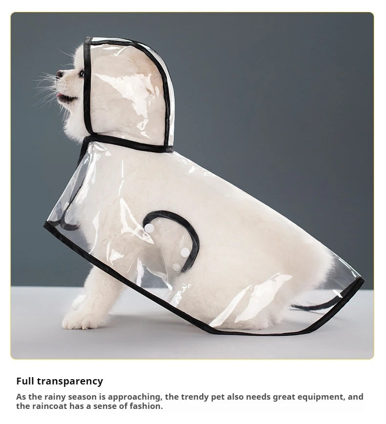 A white dog wearing a clear, transparent raincoat with a hood and black trim.