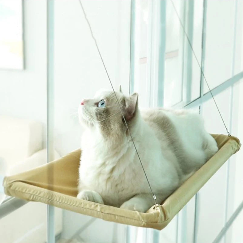 Un chat gris clair et blanc se repose dans un lit-hamac fixé à une fenêtre.