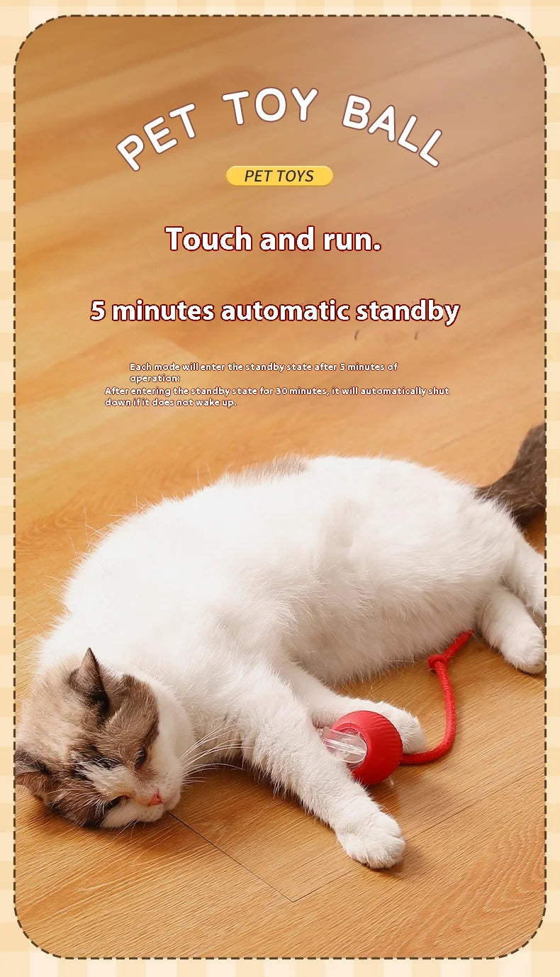 Interactive Rolling Cat Toy with Faux Tail
