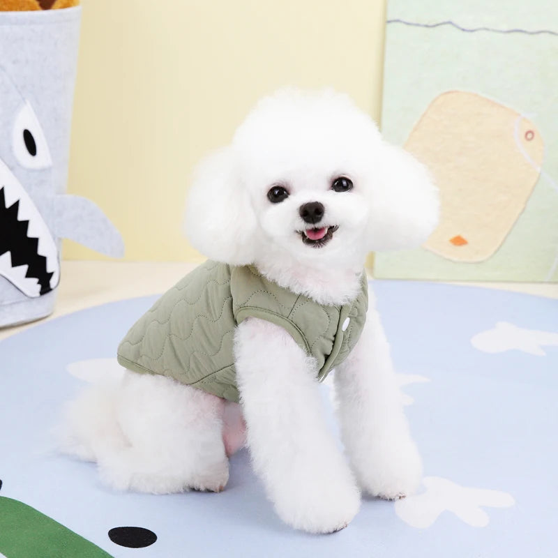 A fluffy white dog wearing a light green quilted vest sitting on a blue surface.