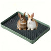 Two small rabbits sitting on a green pet litter box for small animals