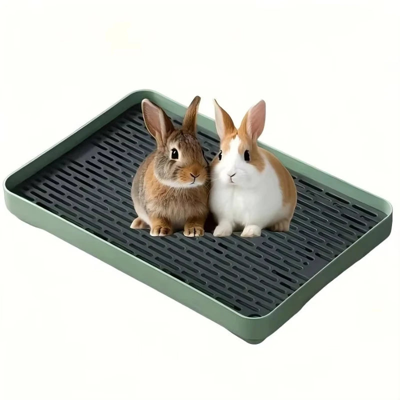 Two small rabbits sitting on a green pet litter box for small animals
