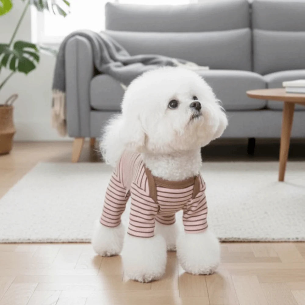 A fluffy white dog wearing cozy striped pajamas sitting on a light rug indoors.