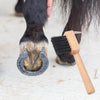 Pioche à sabot et Brosse de toilettage pour chevaux