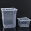 Clear plastic reptile habitat box with ventilation holes