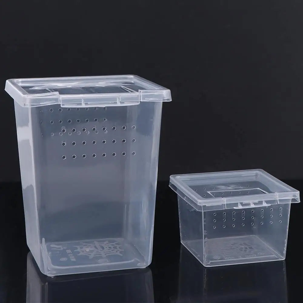Clear plastic reptile habitat box with ventilation holes