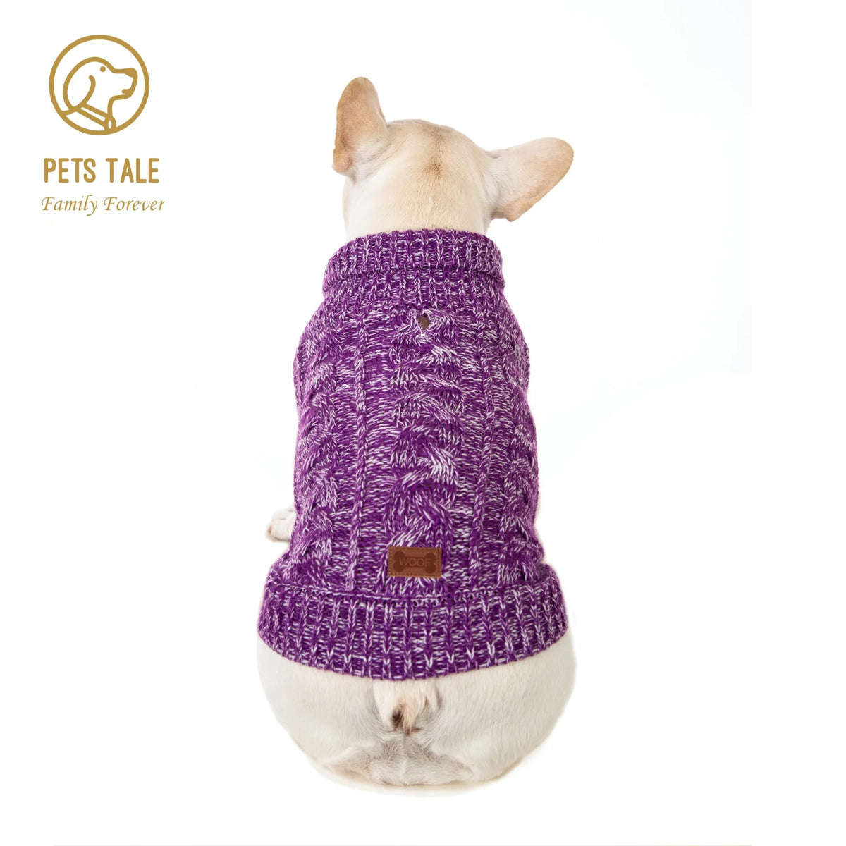 A light-colored dog wearing a purple knitted sweater for winter apparel.