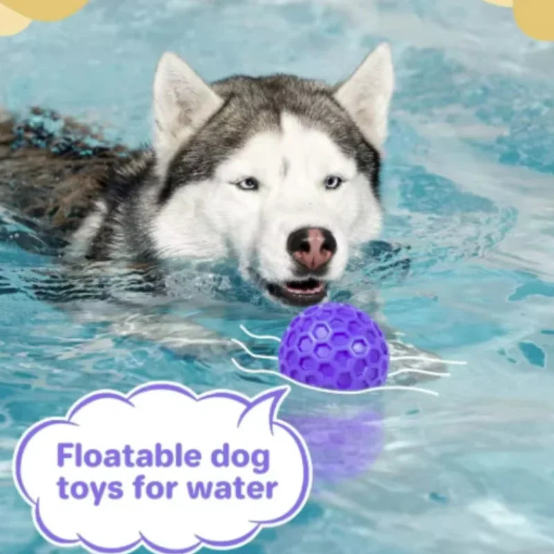 Robuster Texturierter Gummiball zum Kauen für Hunde