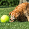 Giant 24cm Inflatable Tennis Ball Dog Toy with Pump