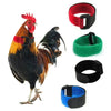 Adjustable Nylon Anti-Crowing Collar for Chickens, Ducks, and Geese