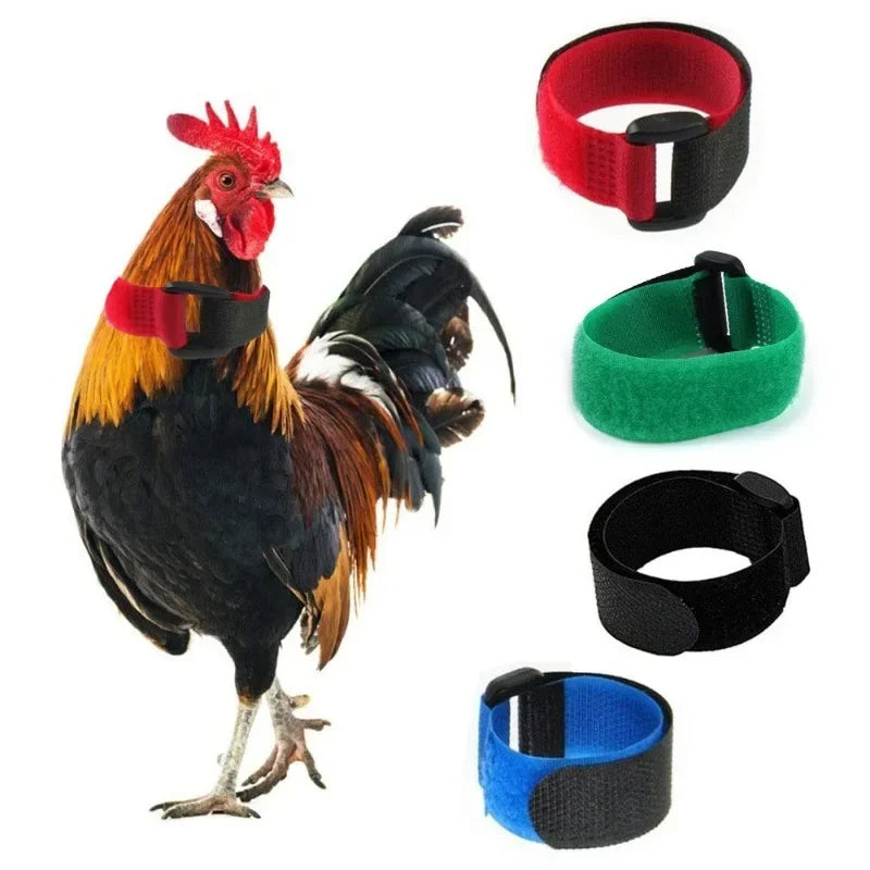 Adjustable Nylon Anti-Crowing Collar for Chickens, Ducks, and Geese